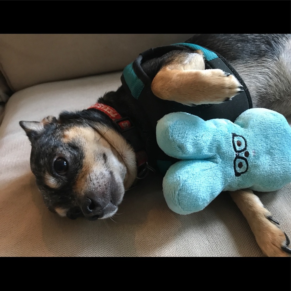 Meet your Posher, Katy